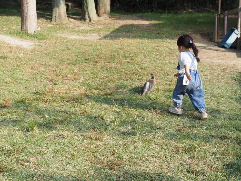 しろとり動物園に行ってきました！